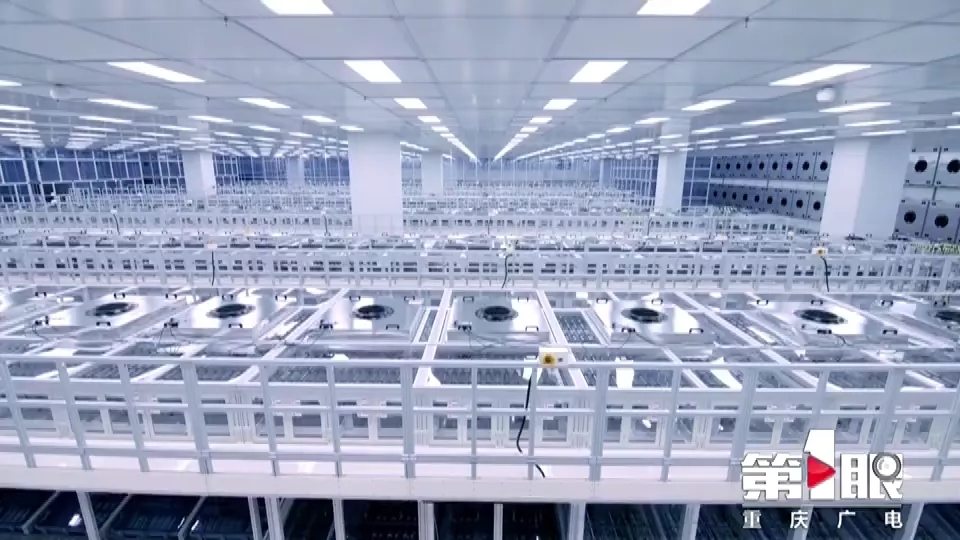 1607417040367835.jpg 11.webp (1).jpg