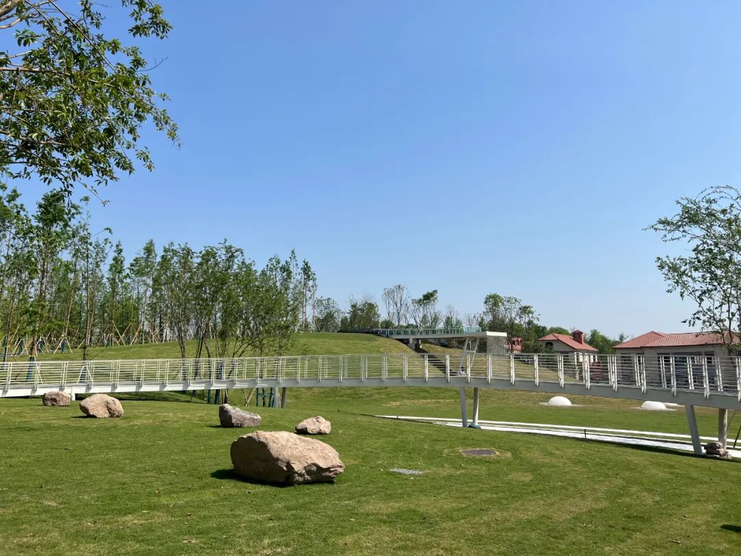 1650763845359100.jpg 640 (10).jpg