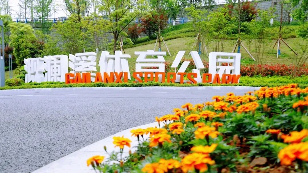 1763954223531679.jpg 5.jpg