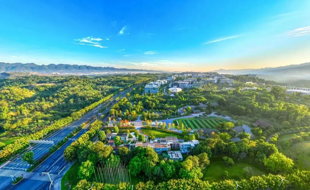 1772502682264468.jpg 1.jpg